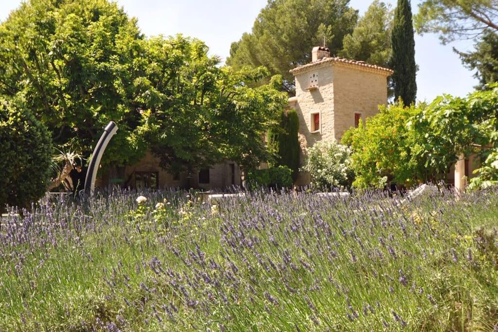 Dreamy Amidst A Marvellous Caromb